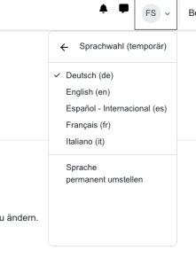 Screenshot Sprache temporär ändern